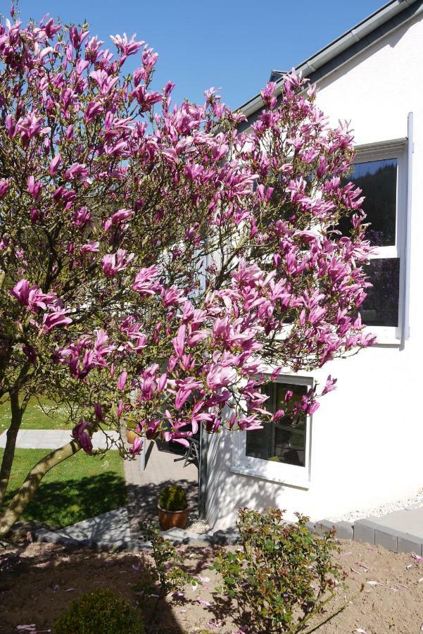 Ferienwohnung "Magnolia" Kordel Dış mekan fotoğraf